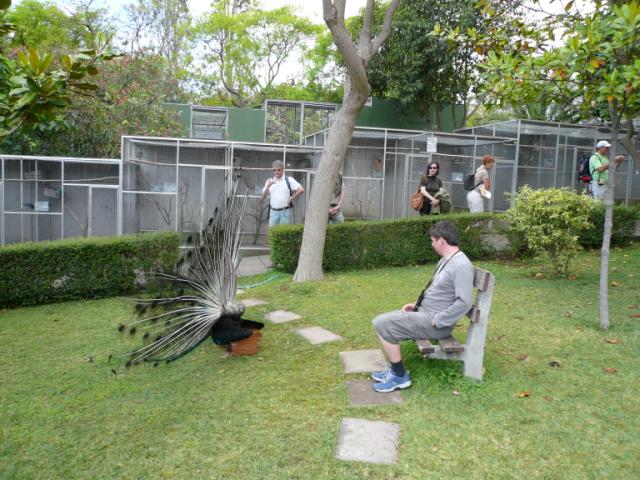 p1000459.jpg
