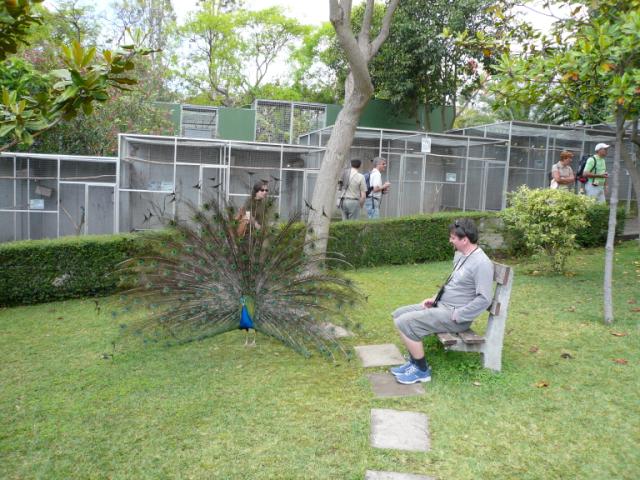 p1000462.jpg