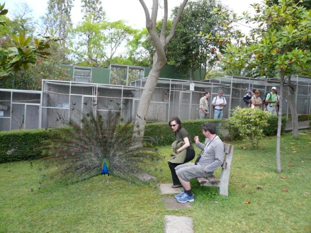 p1000463.jpg