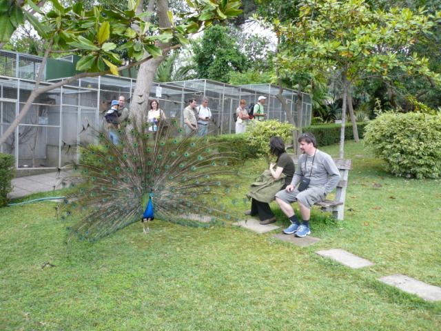 p1000464.jpg