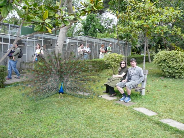 p1000465.jpg