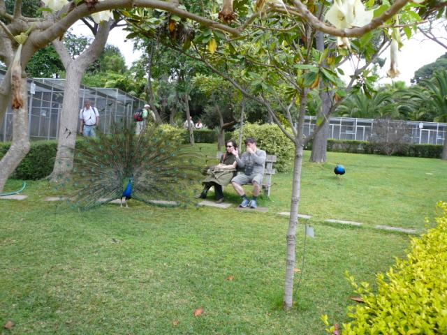 p1000468.jpg