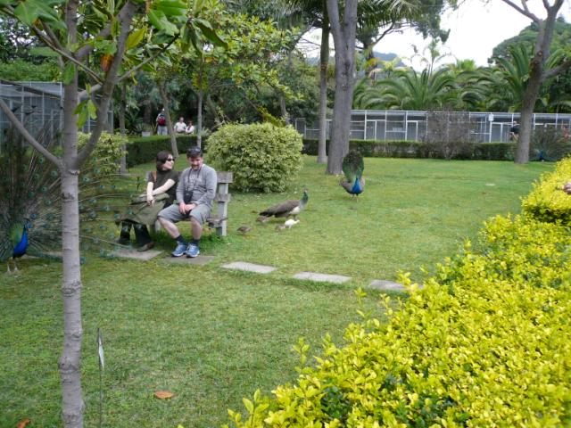 p1000469.jpg