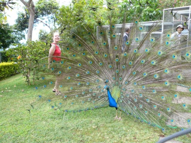 p1000472.jpg