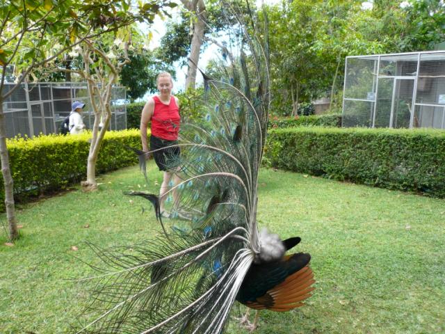 p1000478.jpg
