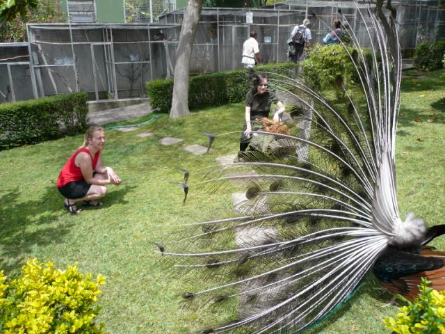 p1000486.jpg