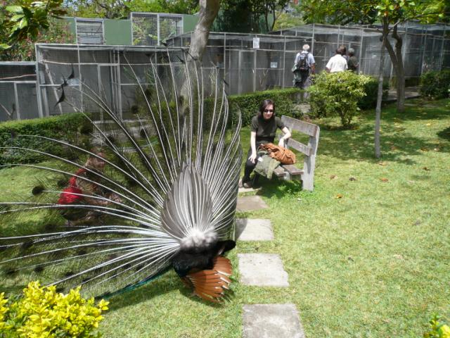 p1000487.jpg