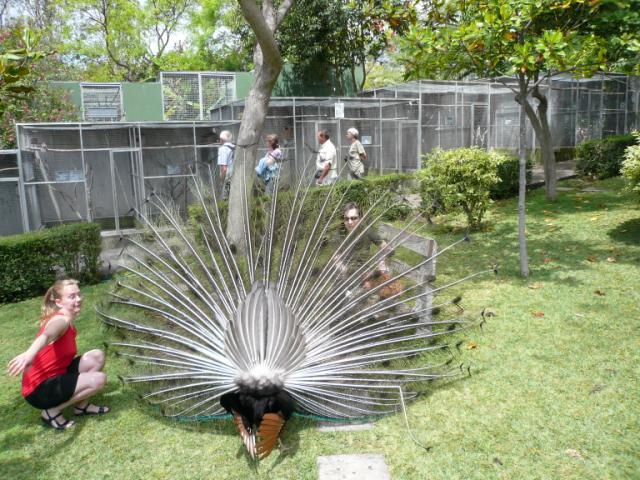 p1000489.jpg
