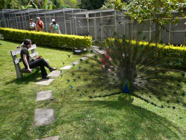 p1000491.jpg