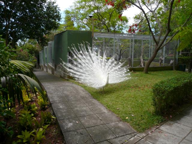 p1000499.jpg