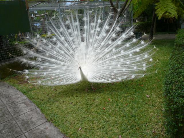 p1000503.jpg