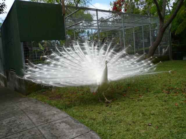 p1000506.jpg
