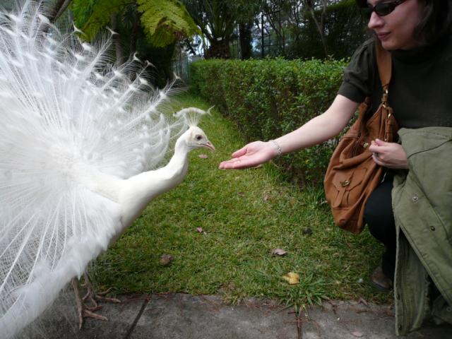 p1000514.jpg