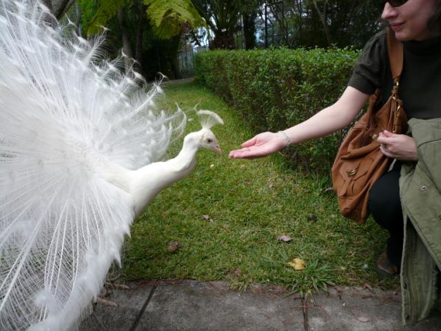 p1000515.jpg