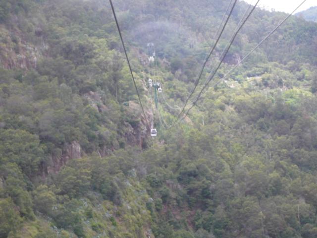 p1000529.jpg