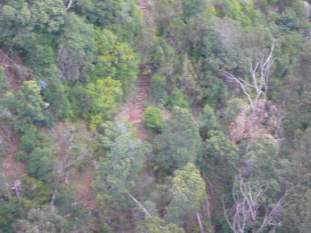 p1000536.jpg