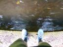 p1000320.jpg
