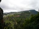 p1000361.jpg