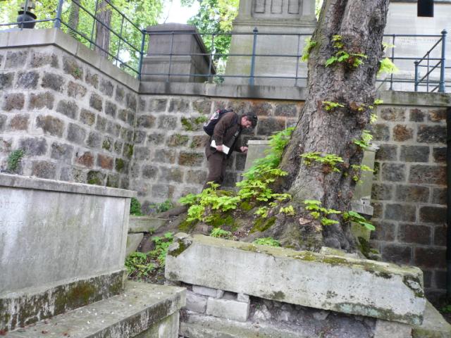 p1010433.jpg