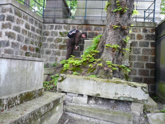 p1010434.jpg
