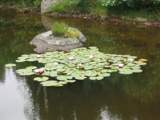 IMG_2543.JPG