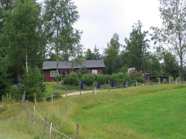 IMG_2567.JPG