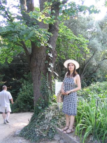 IMG_2242.JPG