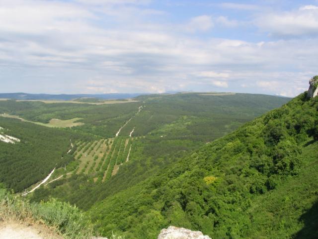 IMG_2274.JPG