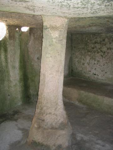 IMG_2282.JPG
