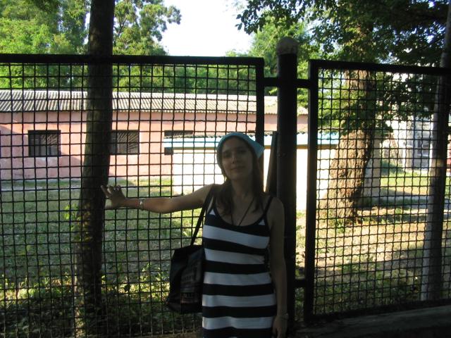 IMG_2334.JPG