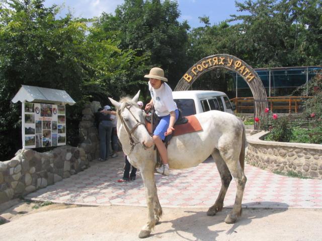 IMG_2353.JPG