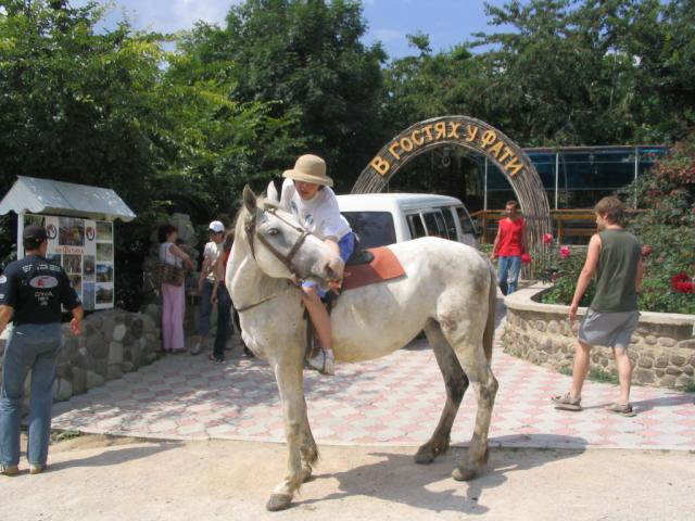IMG_2354.JPG